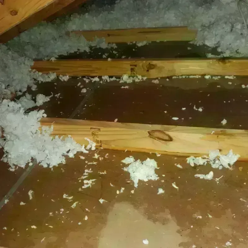 Attic Water Damage in Aloha, OR