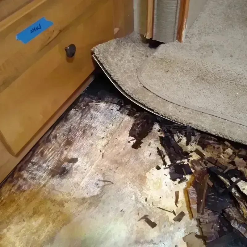 Wood Floor Water Damage in Aloha, OR